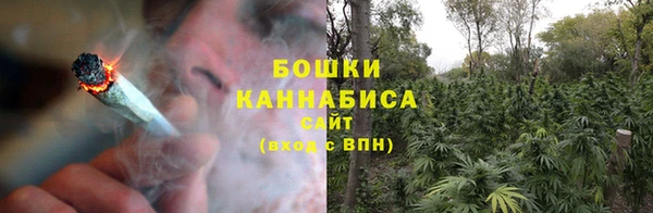 стаф Богородск