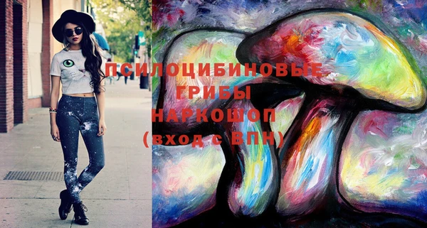 спайс Богородицк