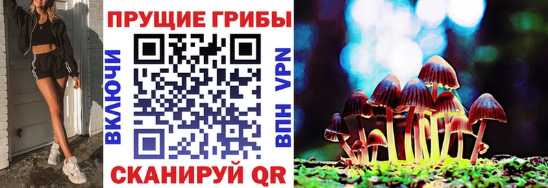 Галлюциногенные грибы Cubensis  Козьмодемьянск 