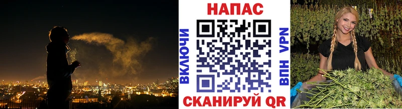 мега рабочий сайт  Козьмодемьянск  Каннабис индика 